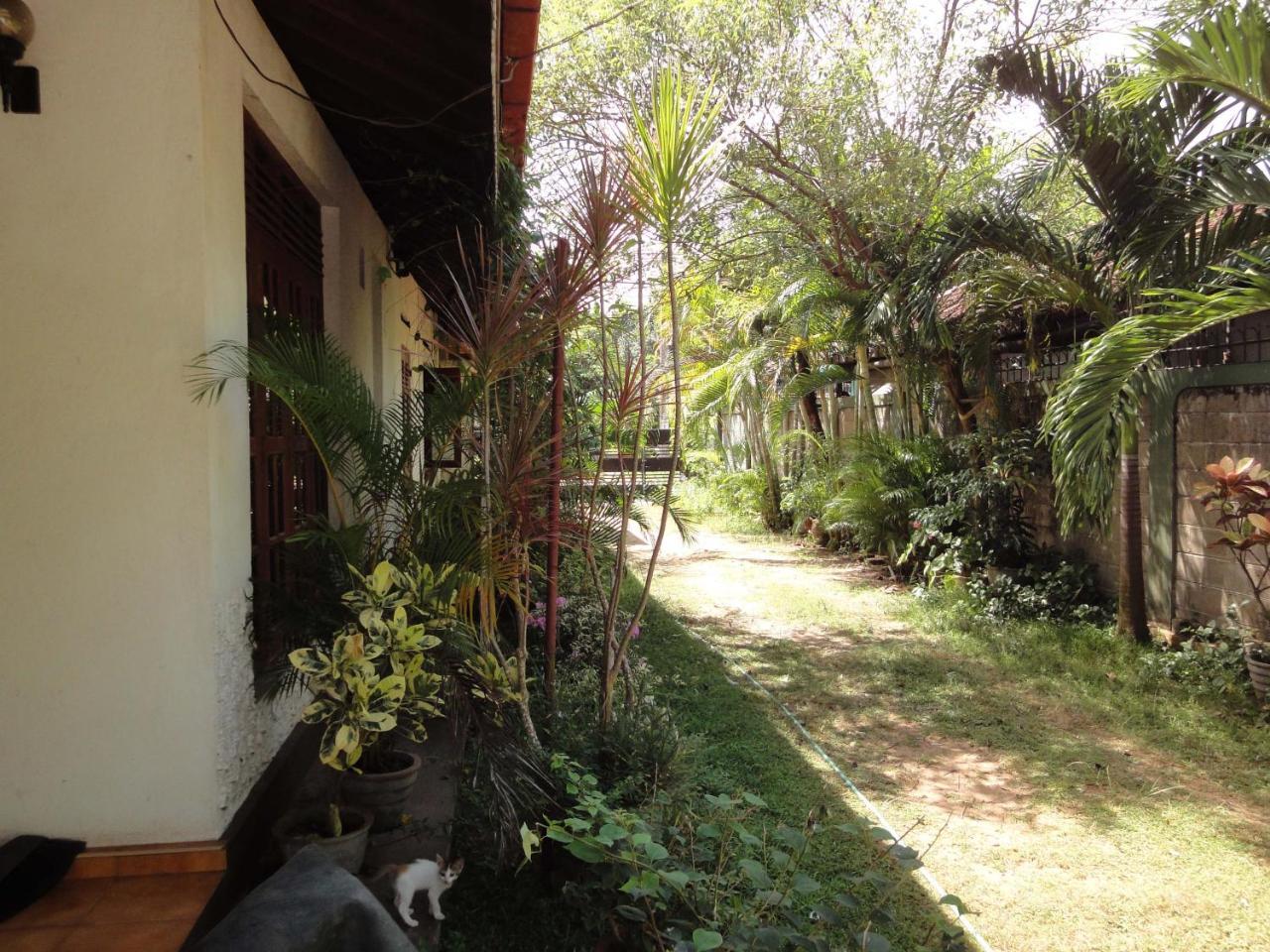 Lidwins Inn 15 Minutes To The Airport Negombo Extérieur photo